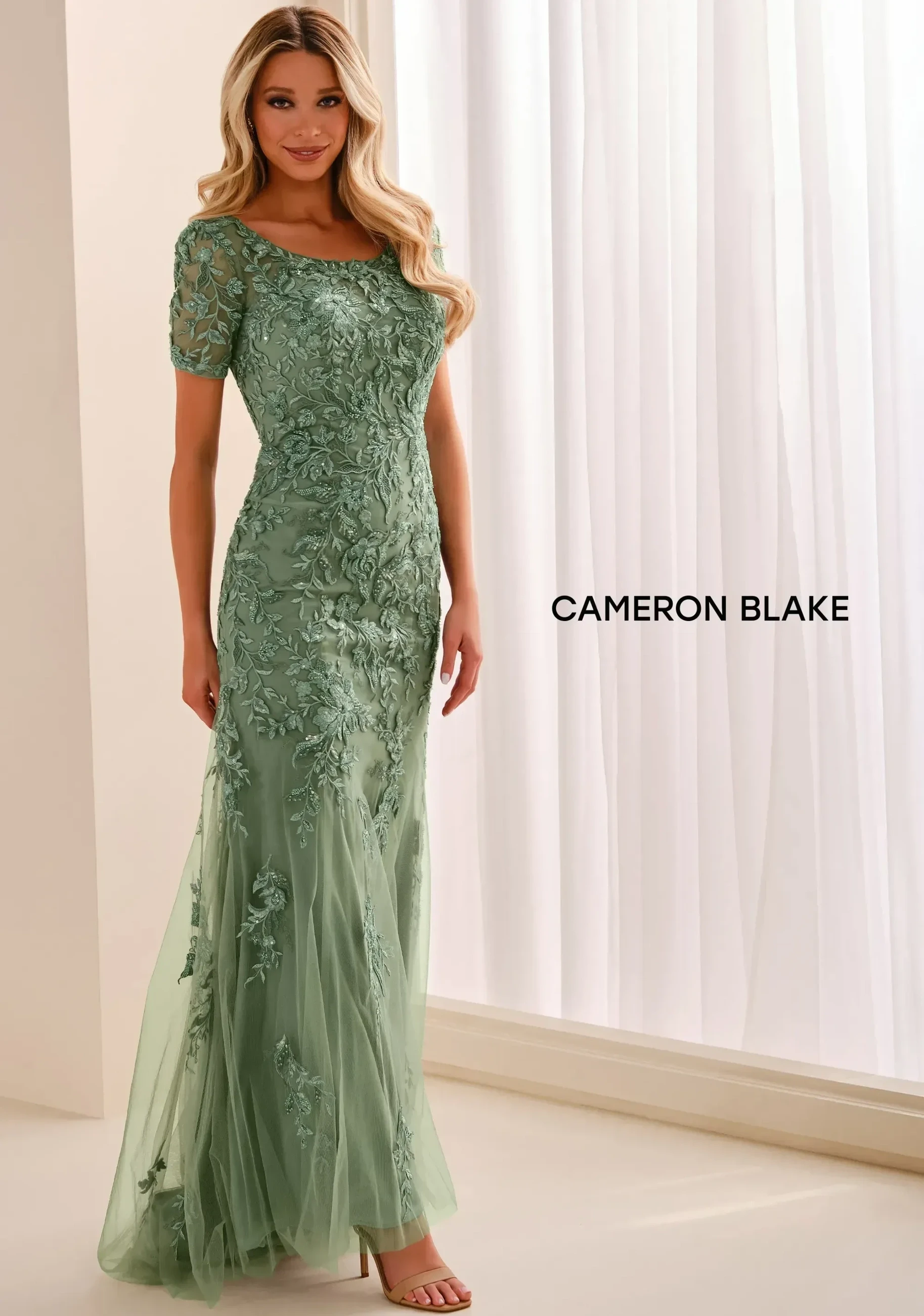 Model wearing a Long Sleeves gown